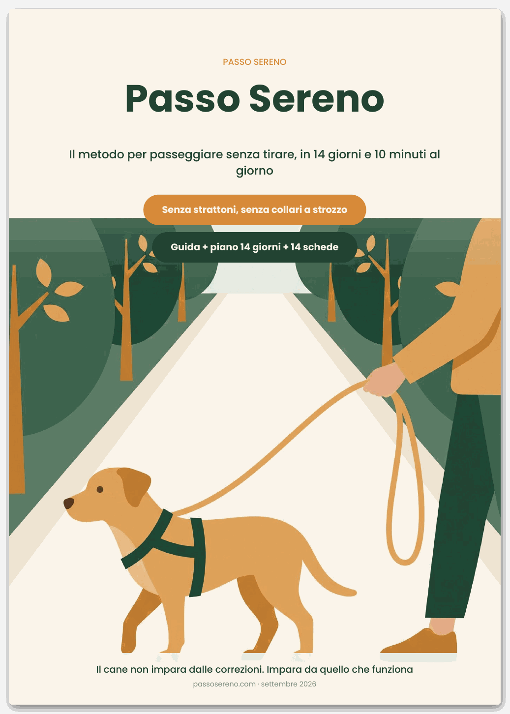 Copertina di La guida, per situazioni