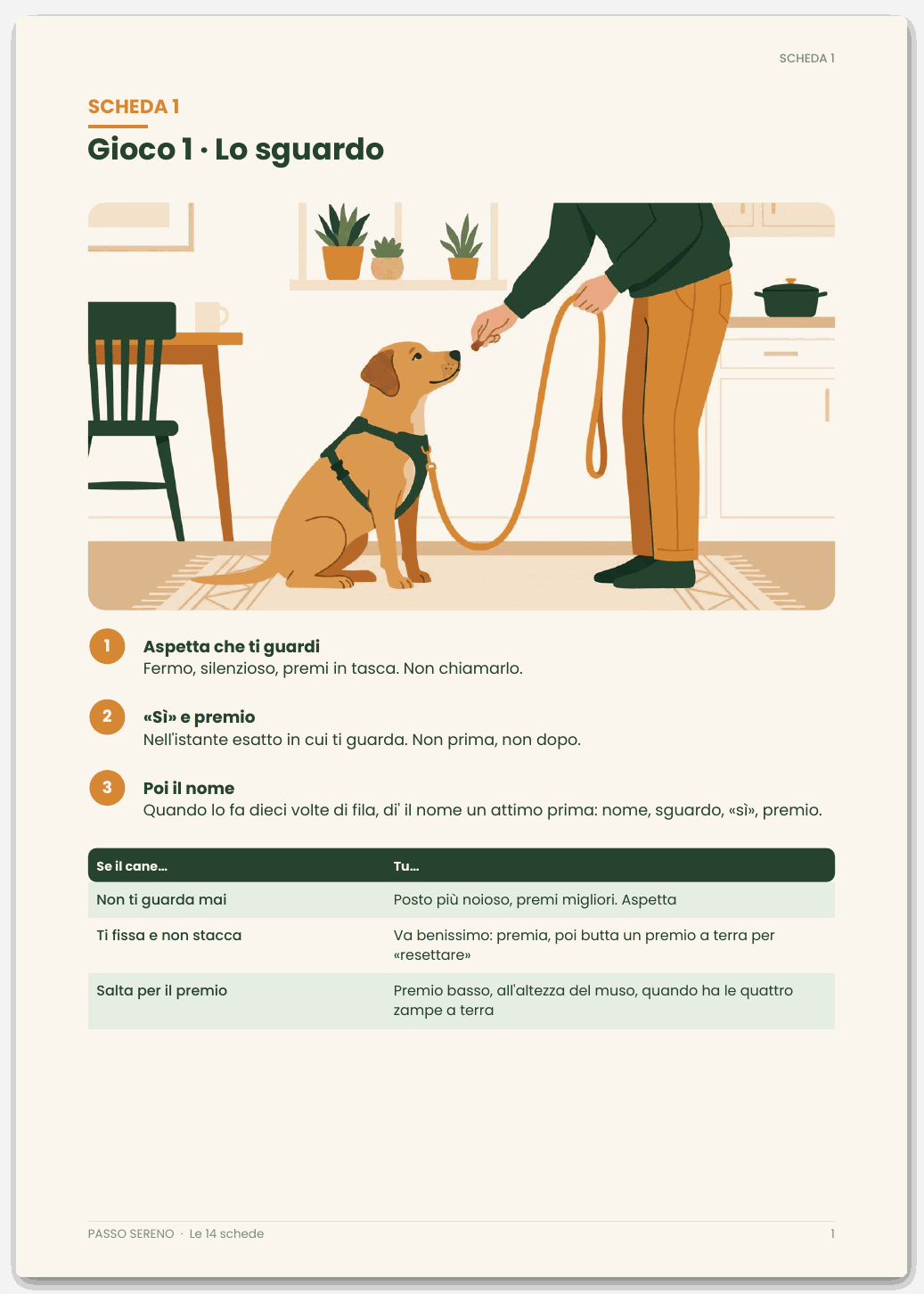 Copertina di Bonus · La checklist del materiale